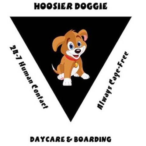 Hoosier Doggy Daycare website